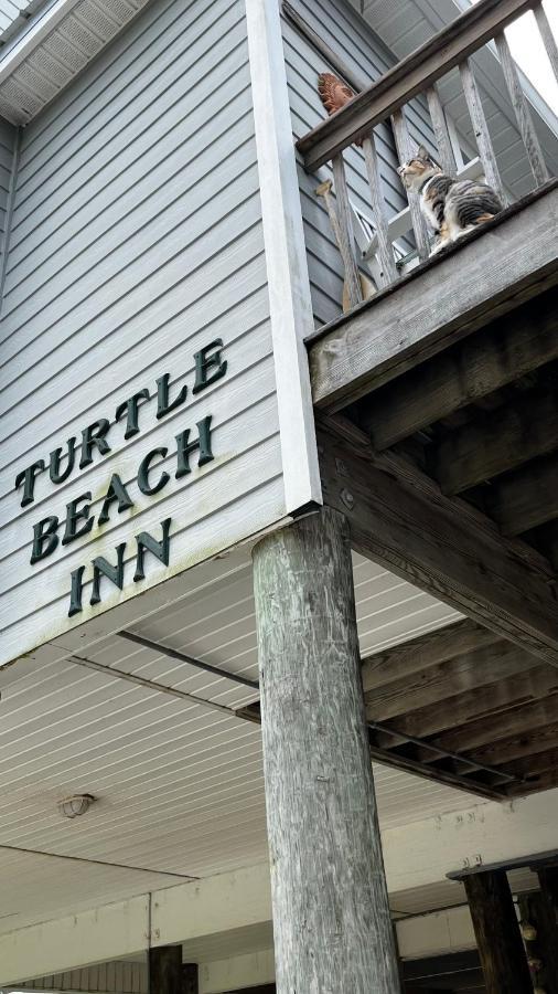 Turtle Beach Inn Indian Pass 外观 照片